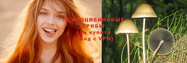 гашик Володарск