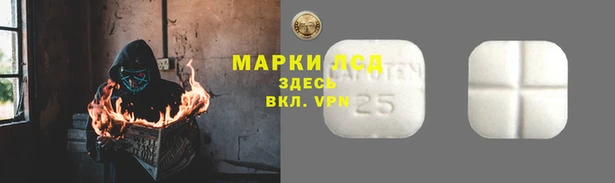 гашик Володарск