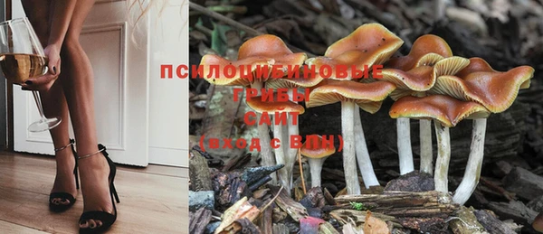 герыч Волоколамск