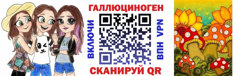 Купить где  Краснознаменск  Псилоцибиновые грибы Psilocybine cubensis 
